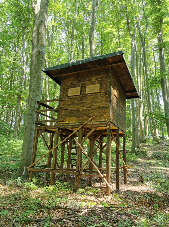 Gedämmte Kanzel